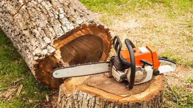 اره برقی شارژی باغبانی پرقدرت برای هرس انواع درختان